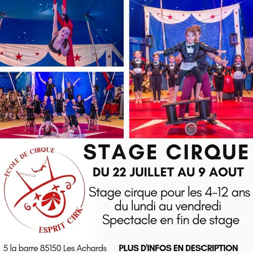Stage cirque vendée esprit cirque la roche sur yon les sables d'olonne cirque enfants